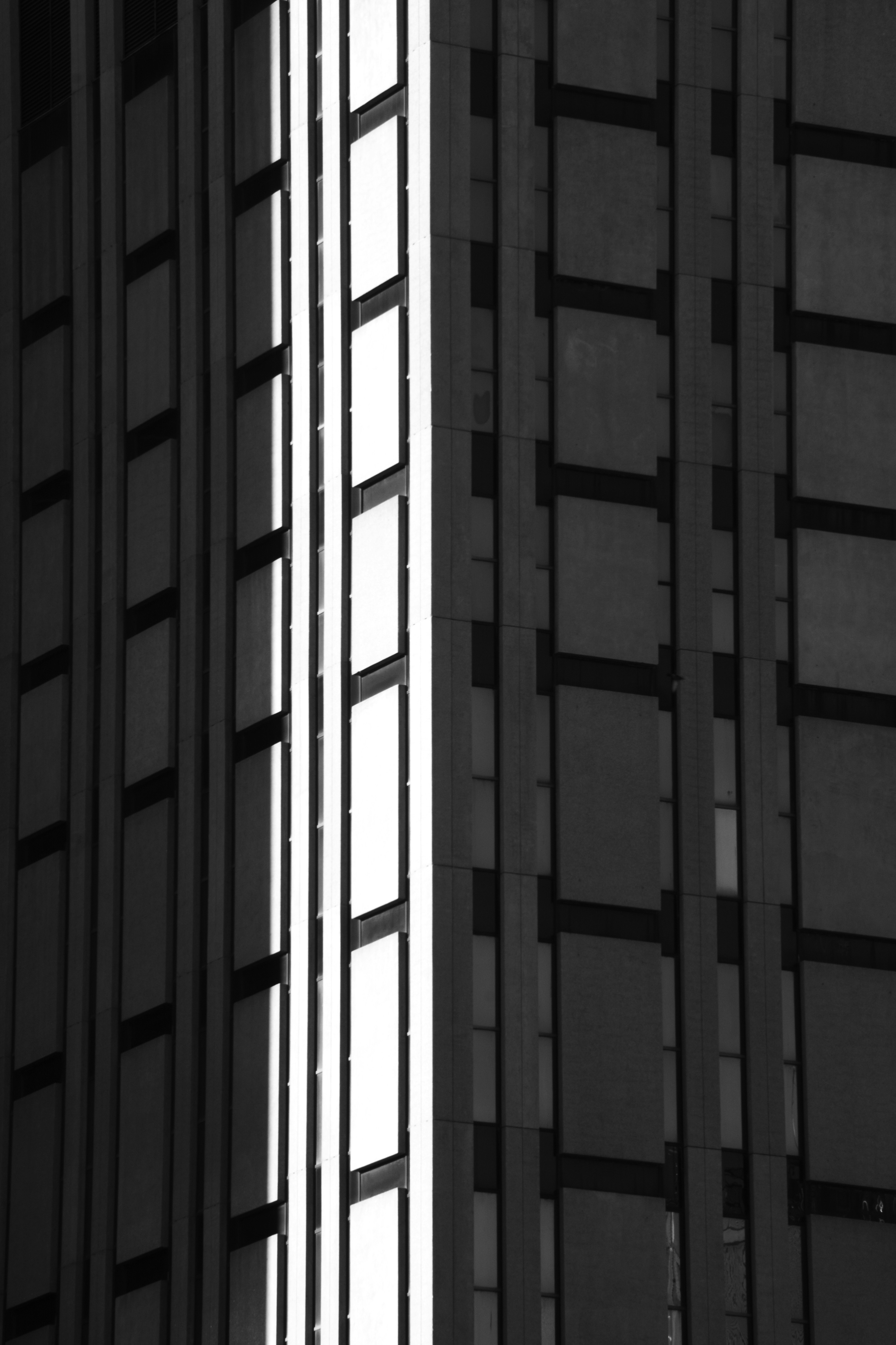 Photo by castillostudio