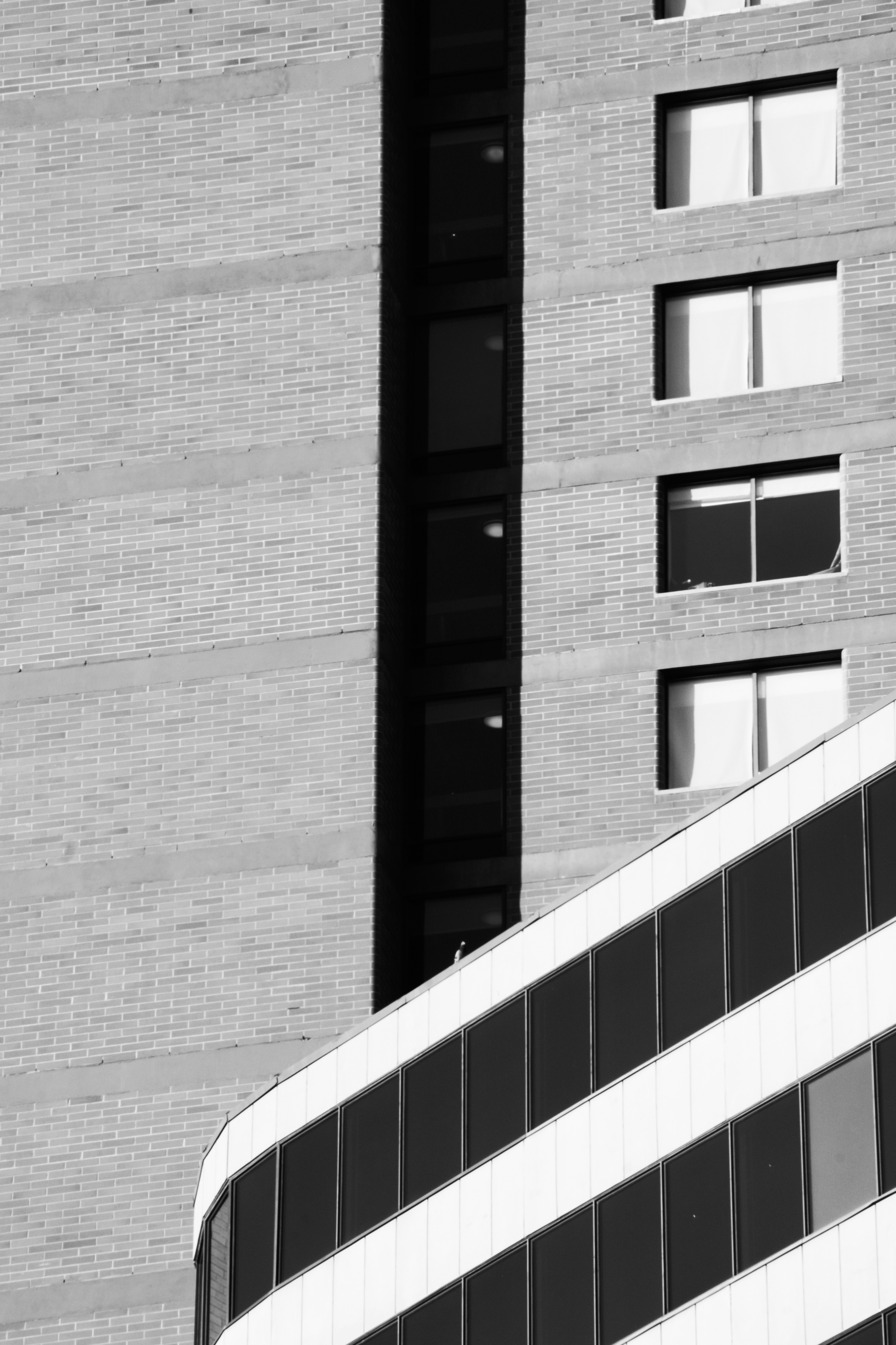 Photo by castillostudio