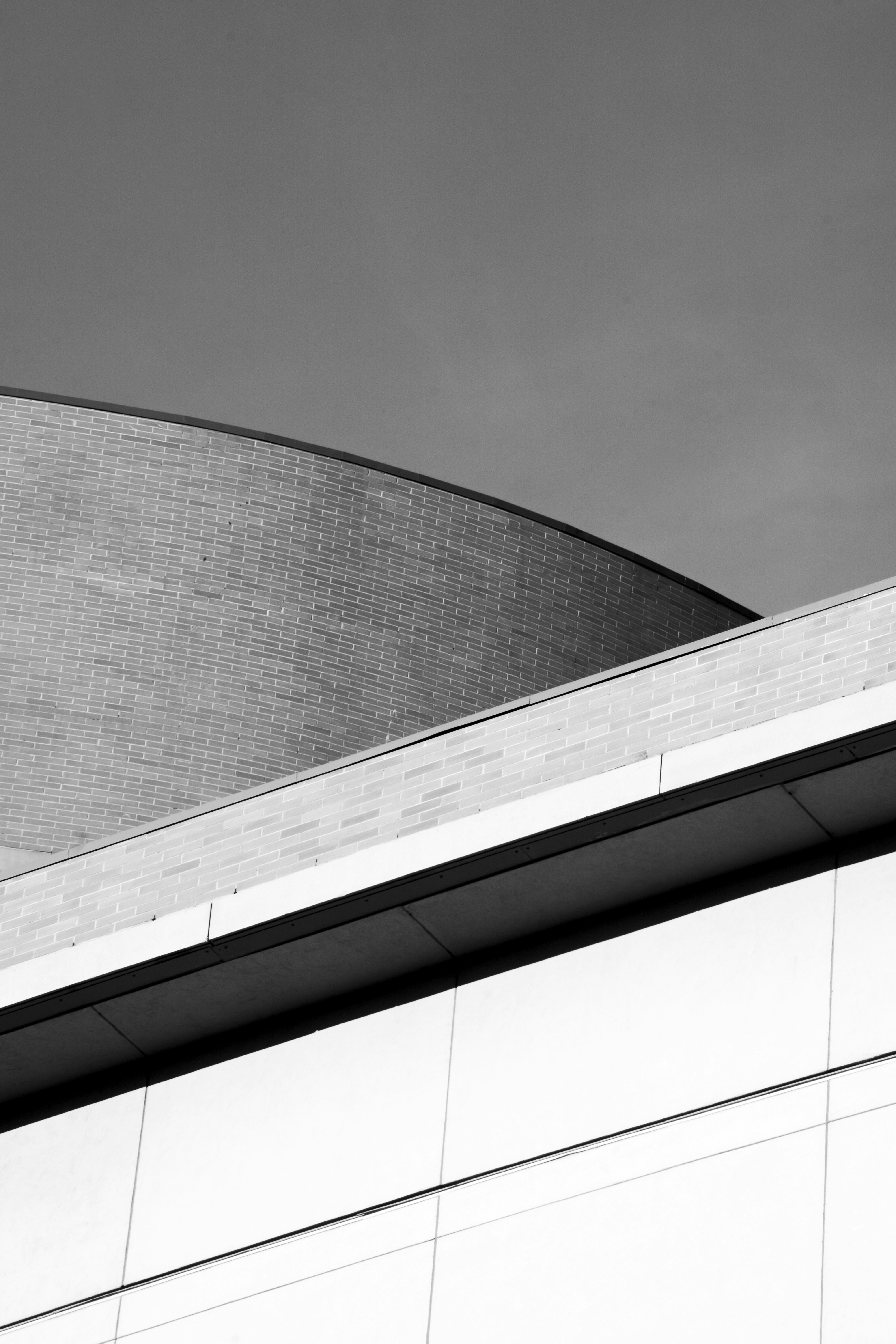 Photo by castillostudio