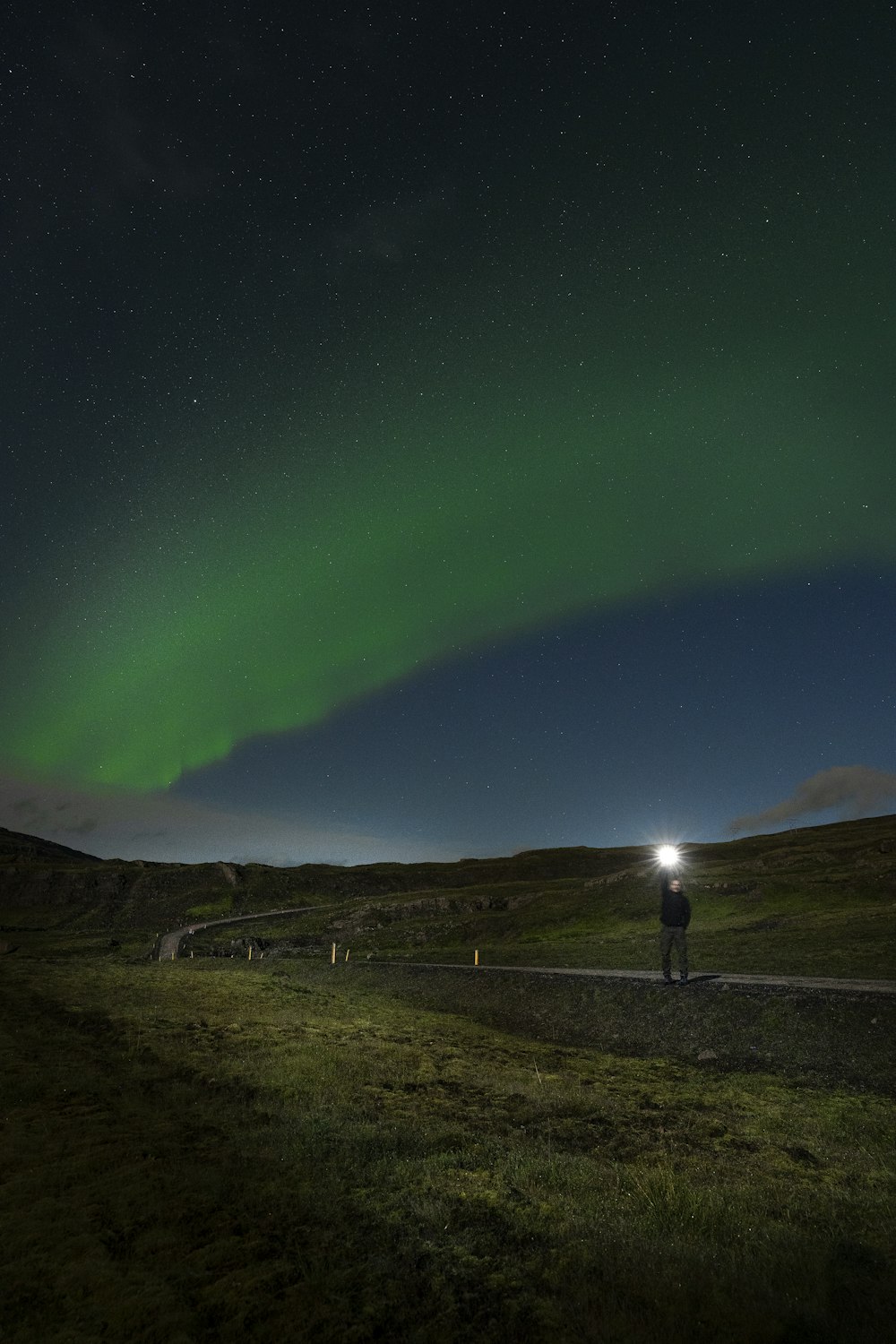 a person standing on the side of a road under a green light