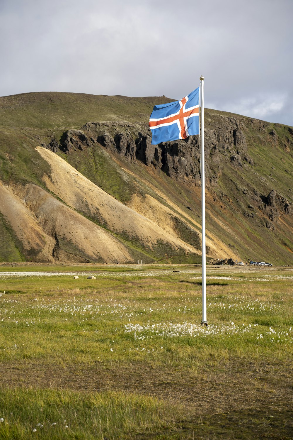 a flag on a pole in a grassy field