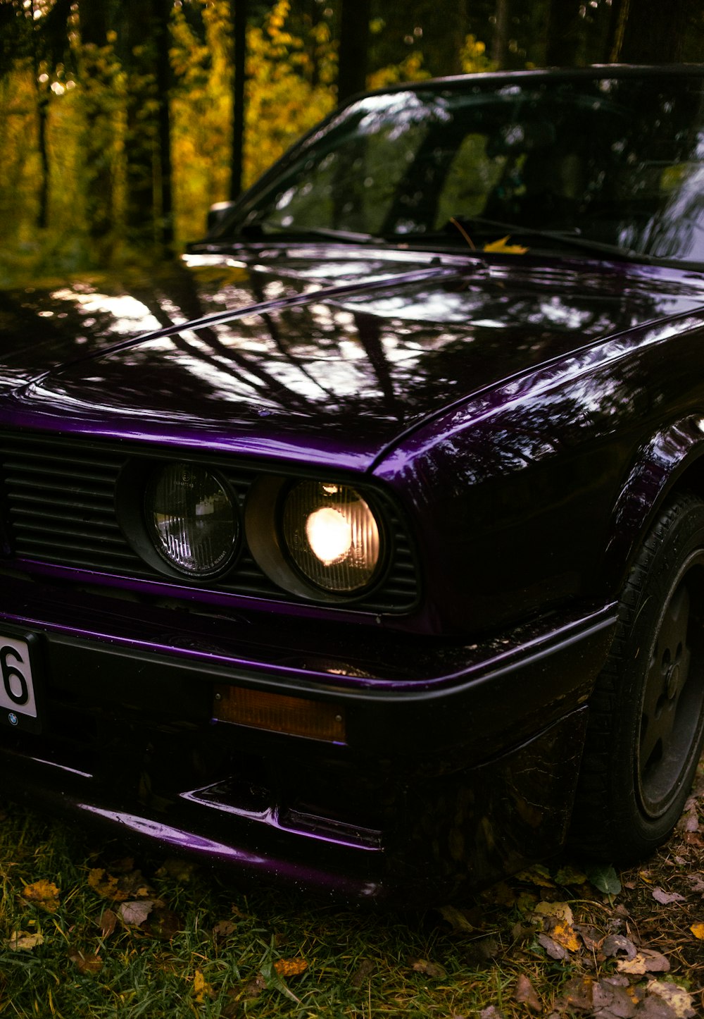 une voiture violette garée dans une zone boisée