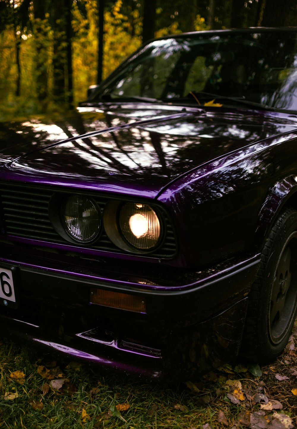 Un'auto viola parcheggiata in una zona boschiva