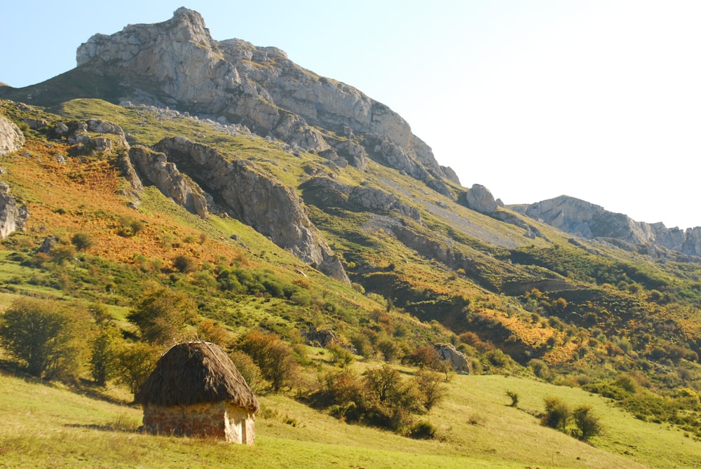 a grassy field with a hut in the middle of it