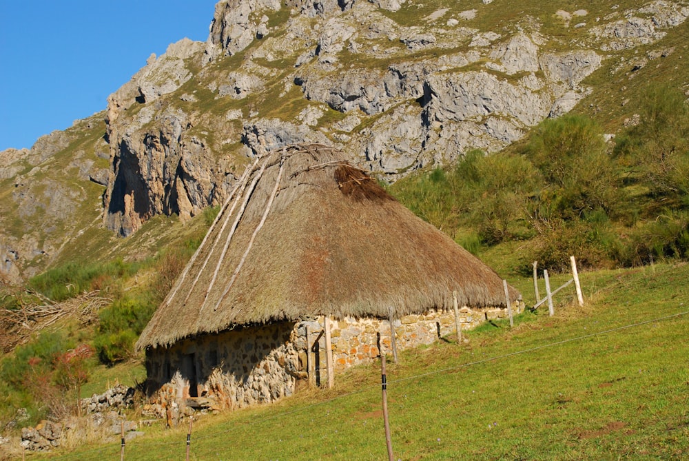 a thatch roofed hut in a field with mountains in the background