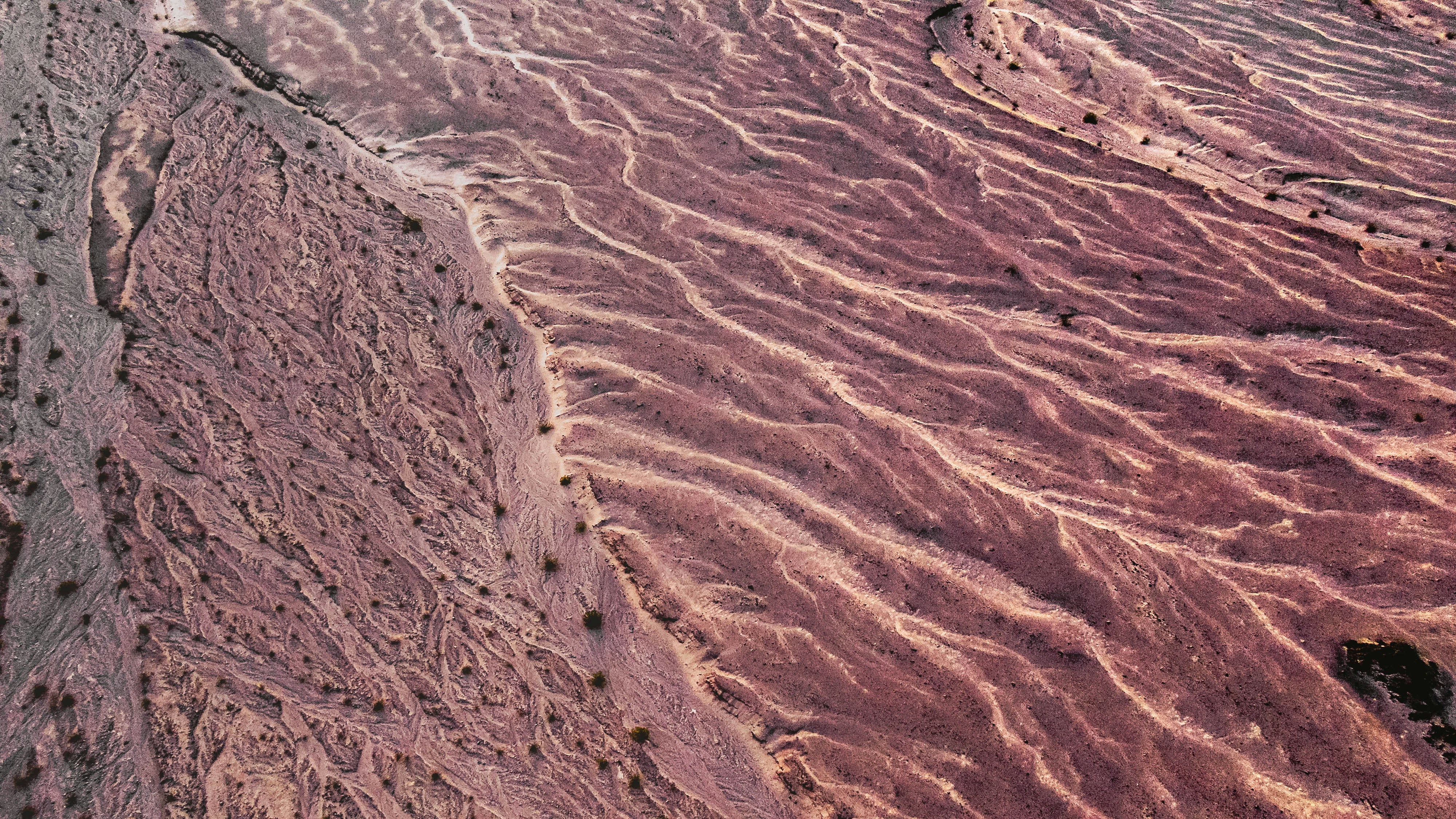 Photo by memory_terra