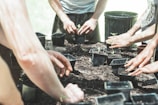Several hands are engaged in a gardening activity, arranging small plants in pots filled with soil. The scene is outdoors, likely in a community garden or a similar setting. A black pot and soil are visible on the table.