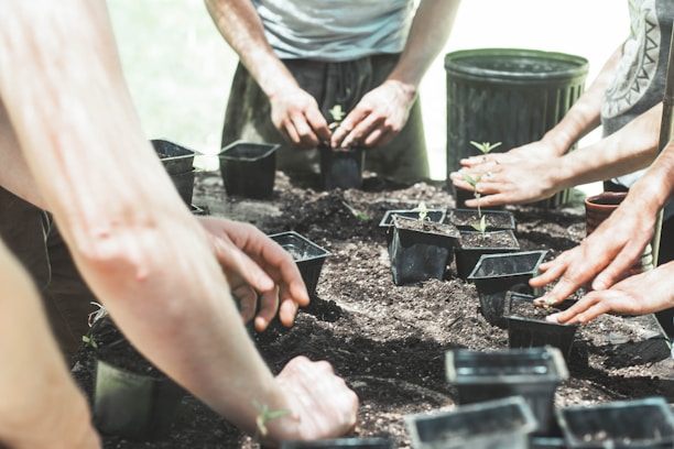 A group of diverse volunteers happily collaborating outdoors on a community garden project.