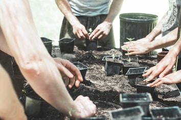 Several hands are engaged in a gardening activity, arranging small plants in pots filled with soil. The scene is outdoors, likely in a community garden or a similar setting. A black pot and soil are visible on the table.