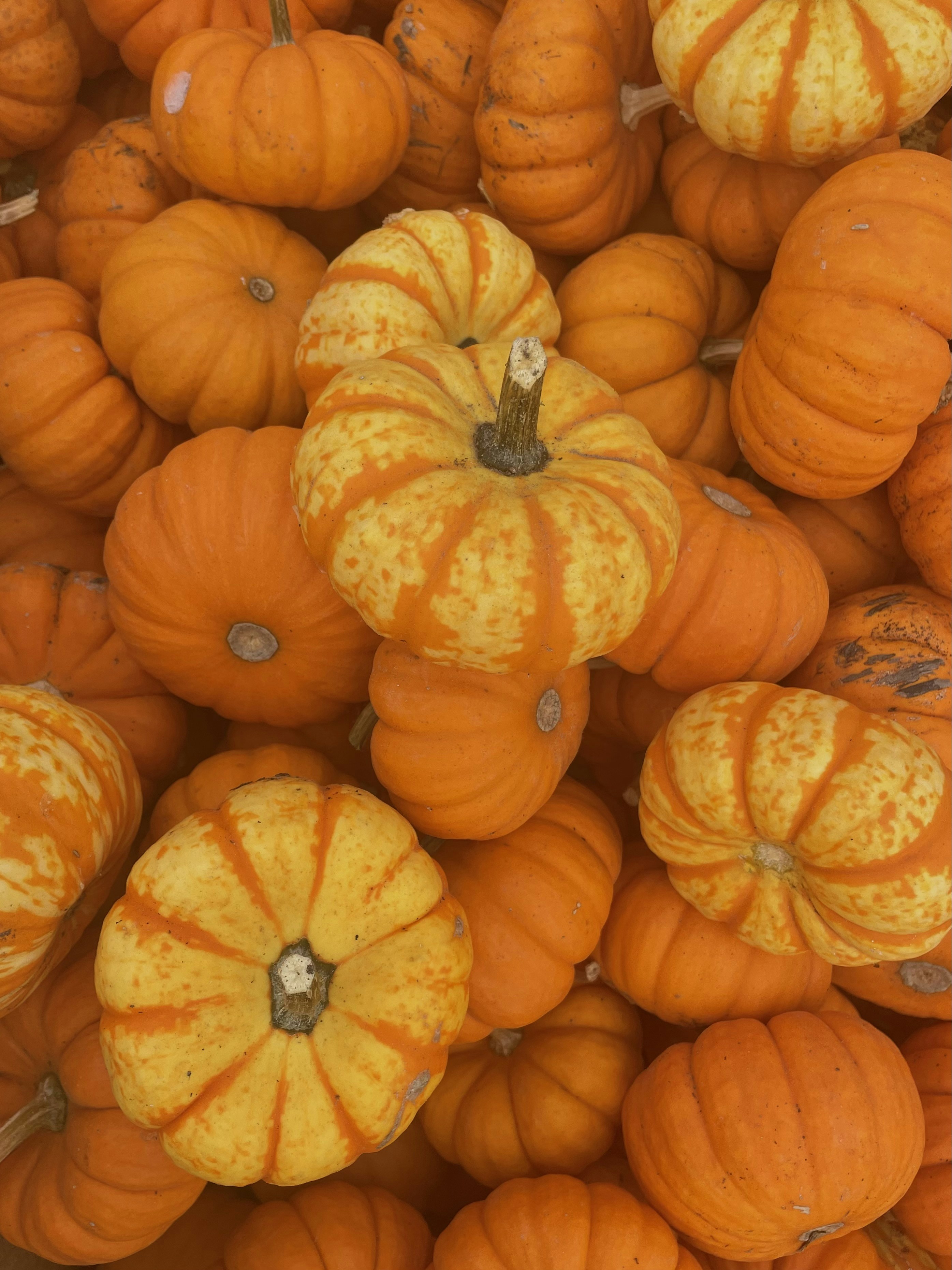 Photo by kaitlynjewels1