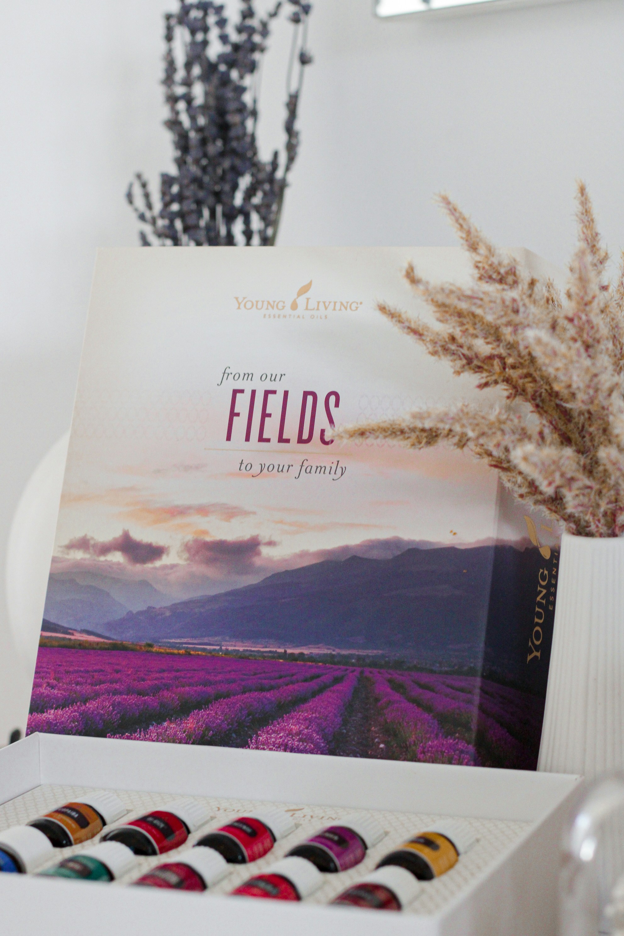 a box of watercolors sitting on top of a table