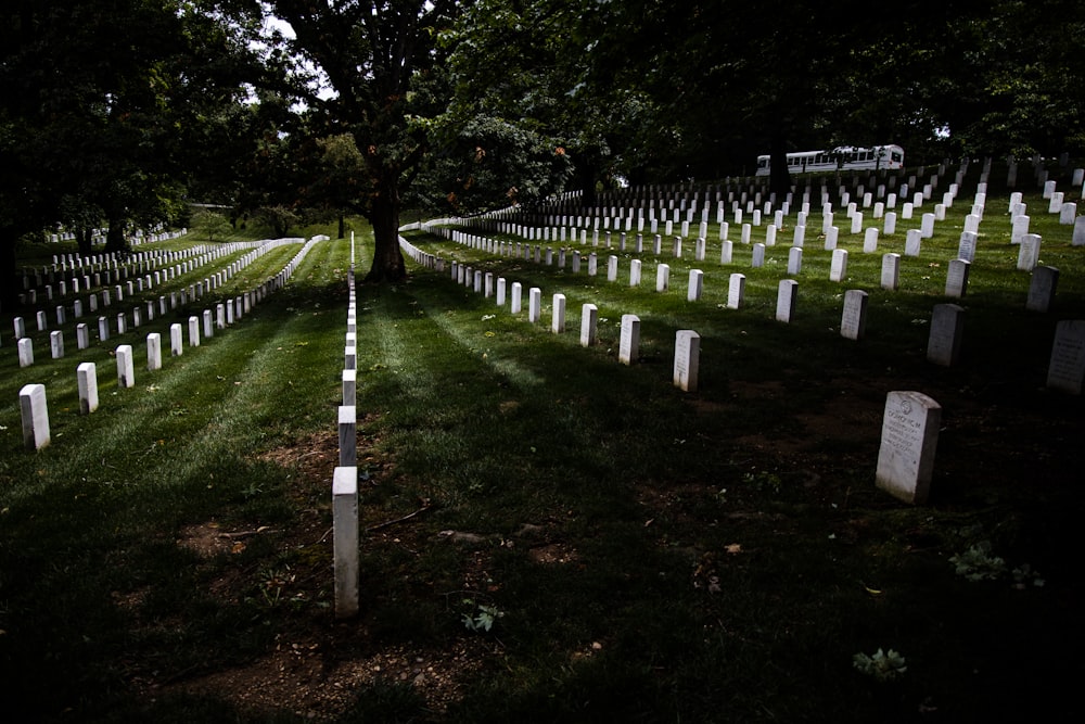 a cemetery with rows of headstones and trees