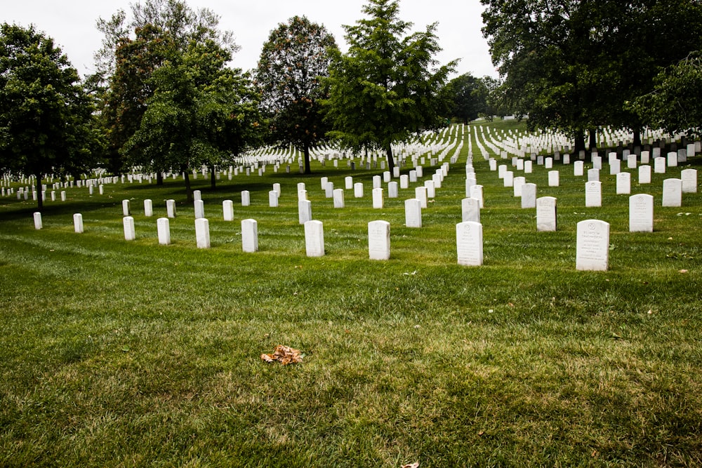 a cemetery with rows of headstones and trees in the background