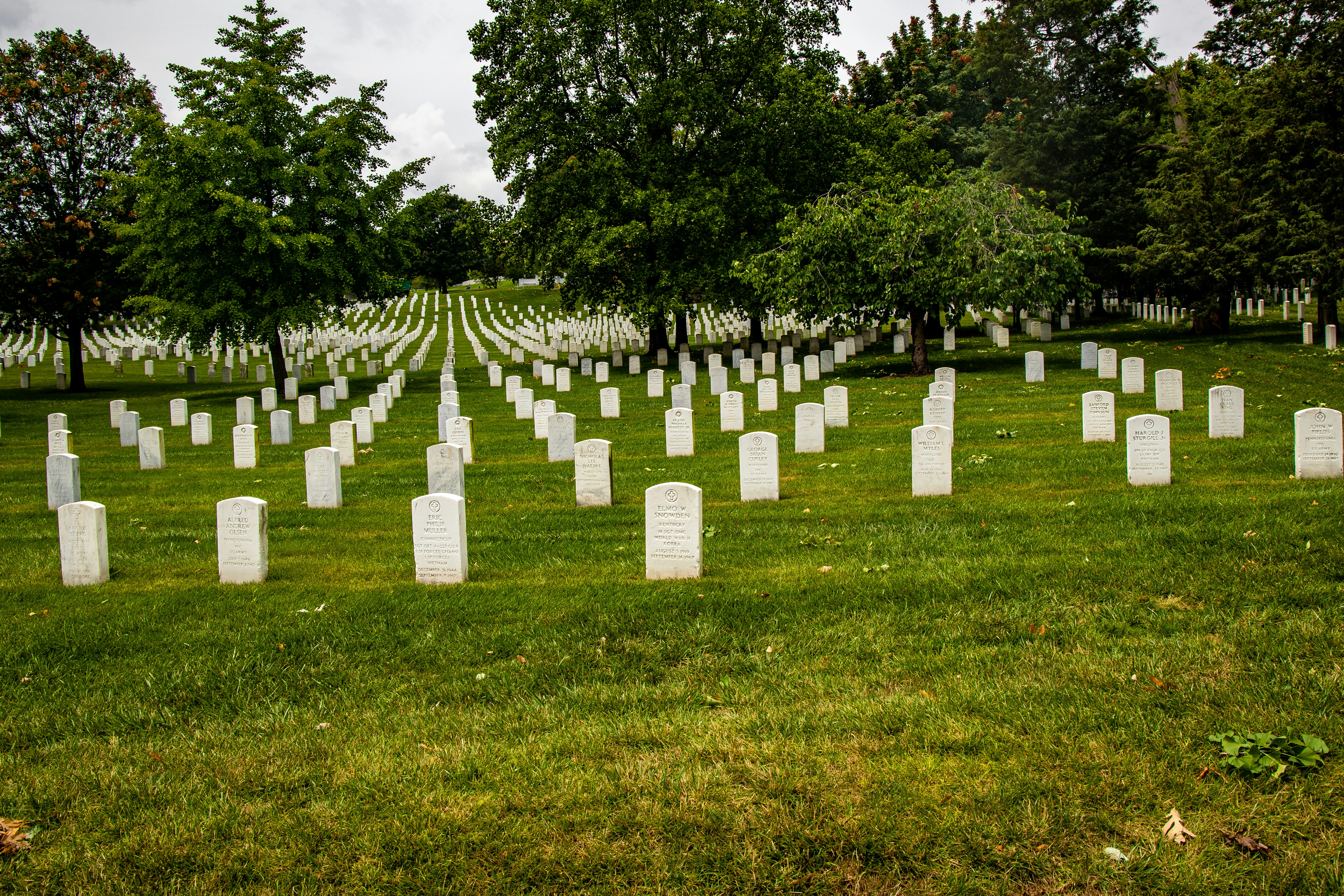 a cemetery with rows of headstones and trees in the background