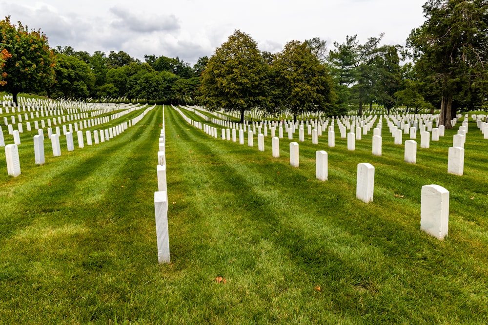 rows of white headstones in a grassy cemetery