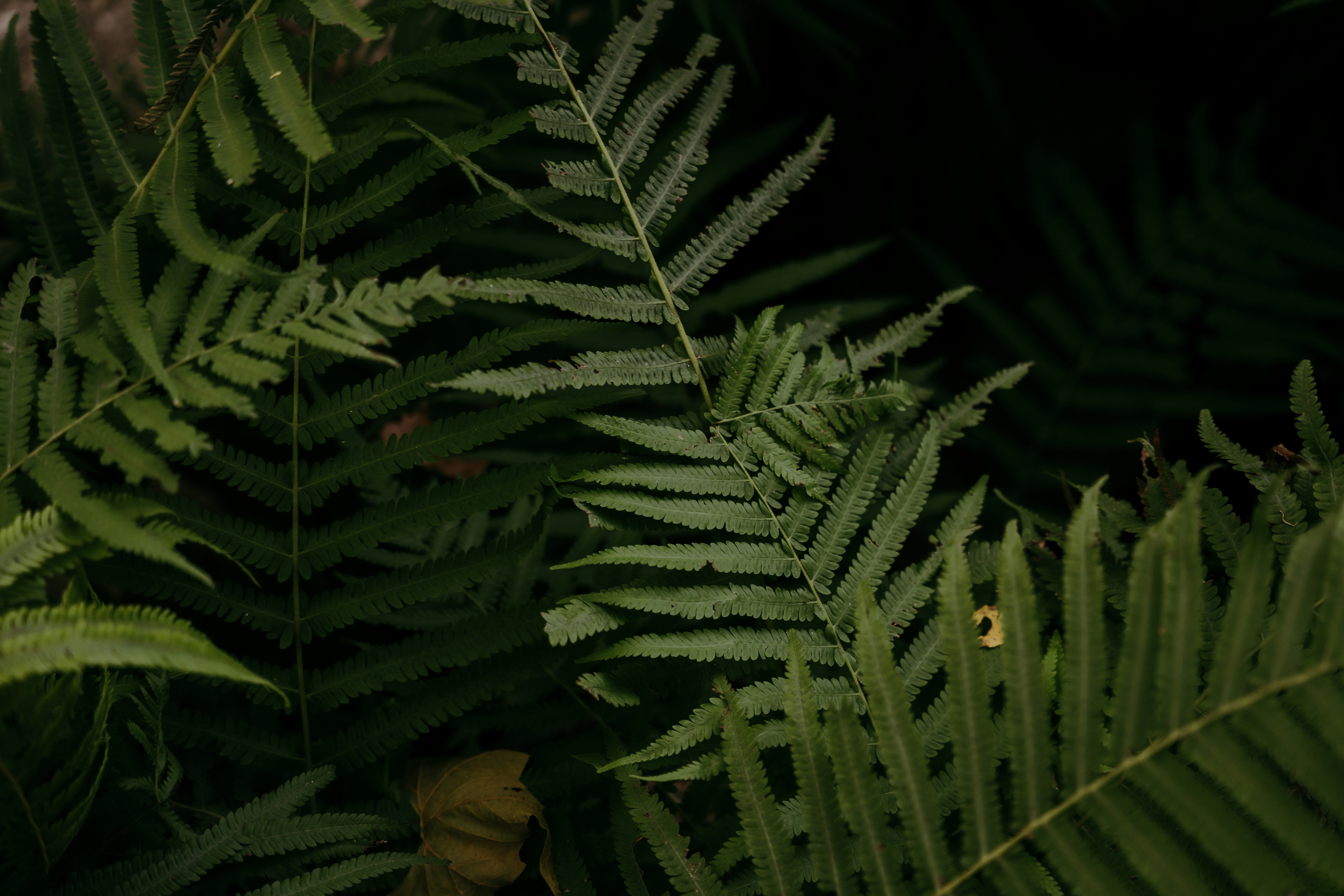 Photo by coreymoconnell1