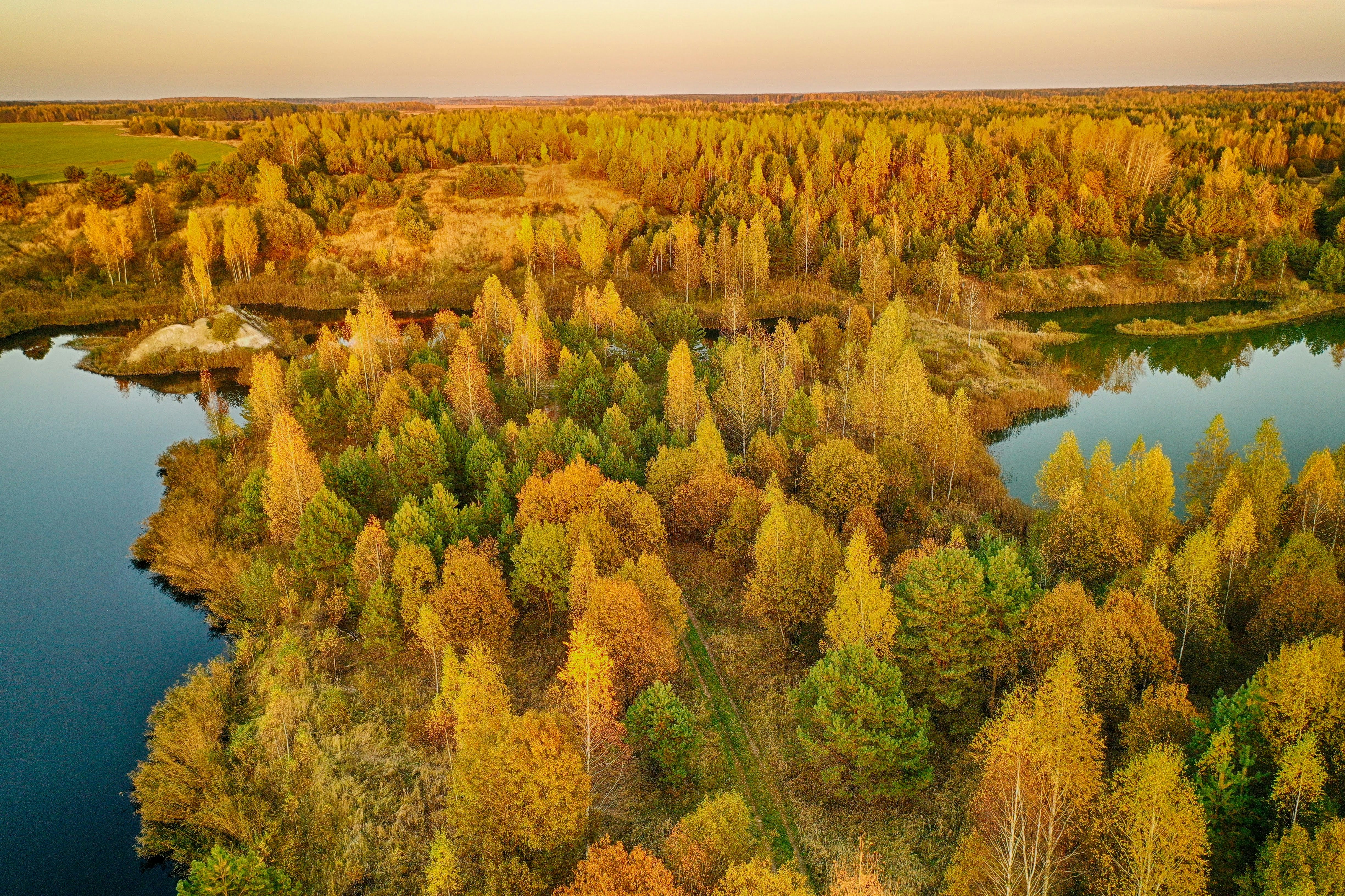 Image by Andrey Kukharenko via Unsplash