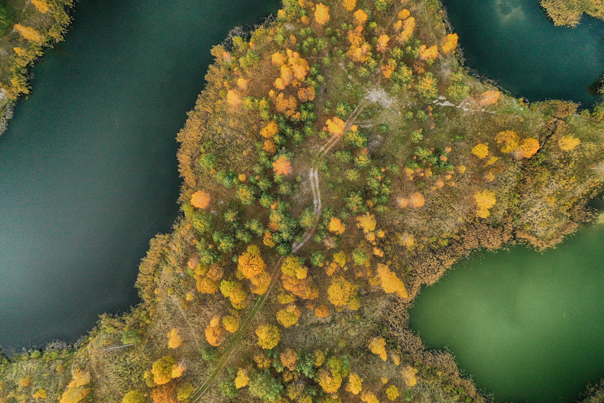 an aerial view of a river surrounded by trees
