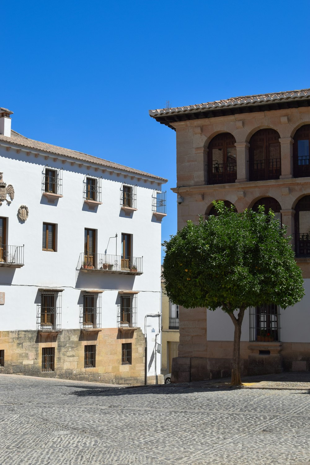 Un gran edificio blanco con un árbol frente a él