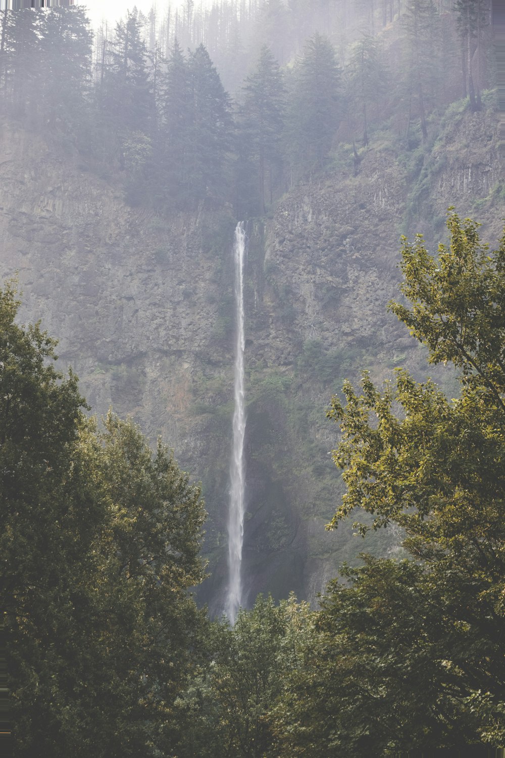 a tall waterfall in the middle of a forest