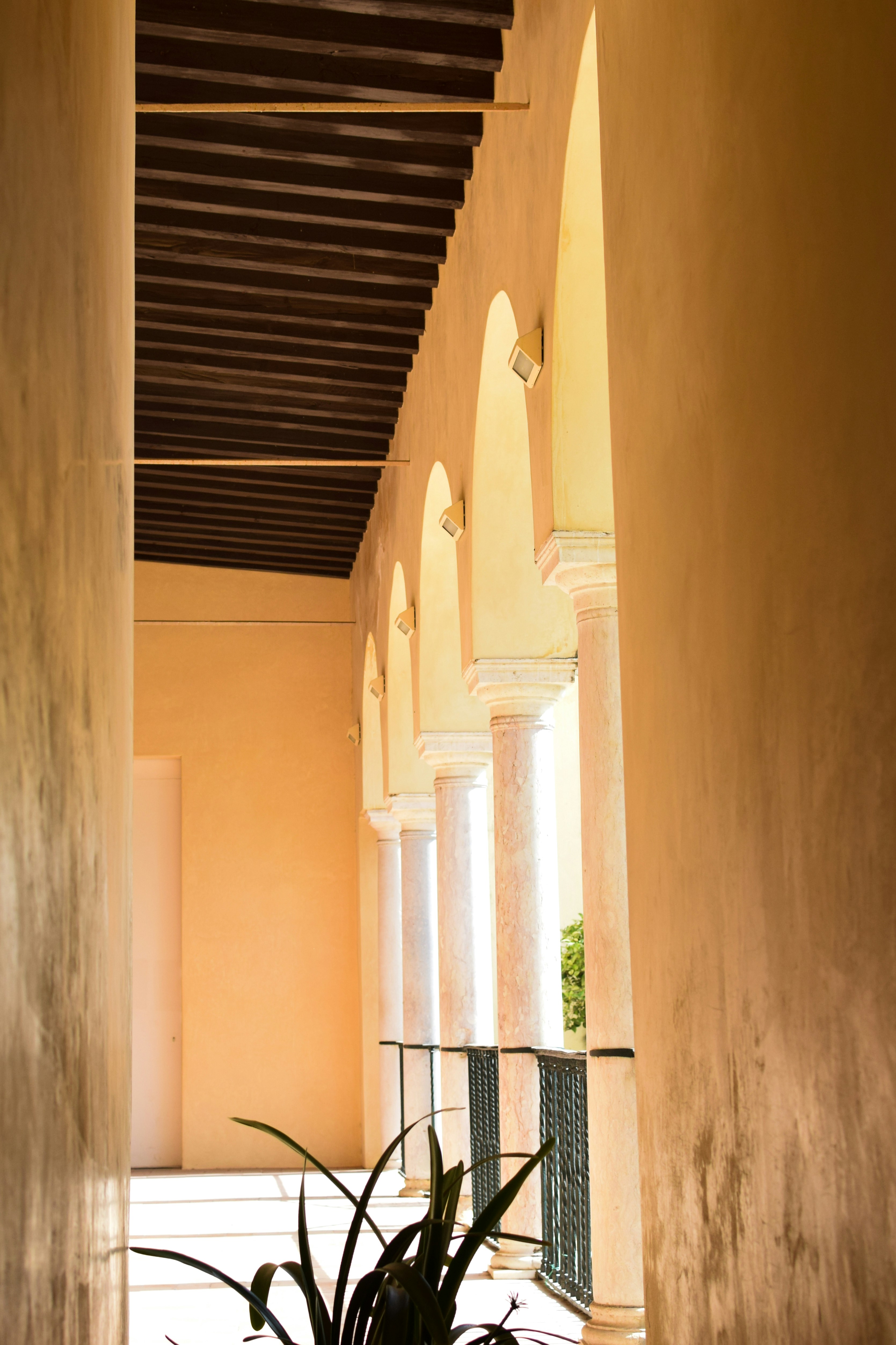 Photo by matthewwaring