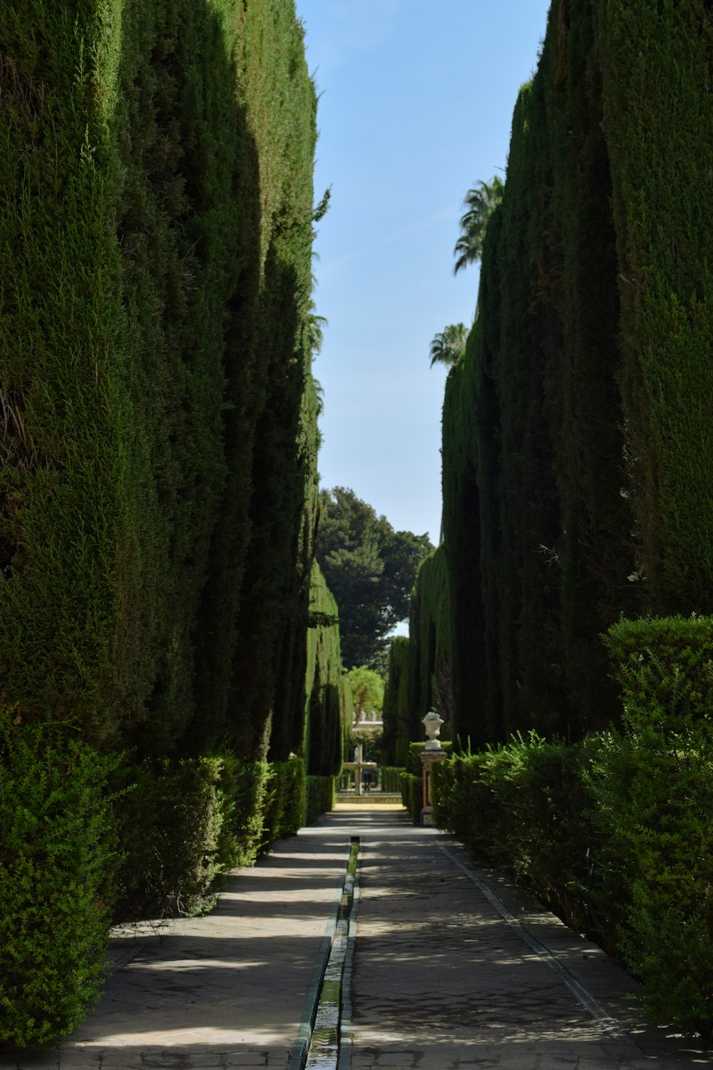 a bench sitting in the middle of a row of trees