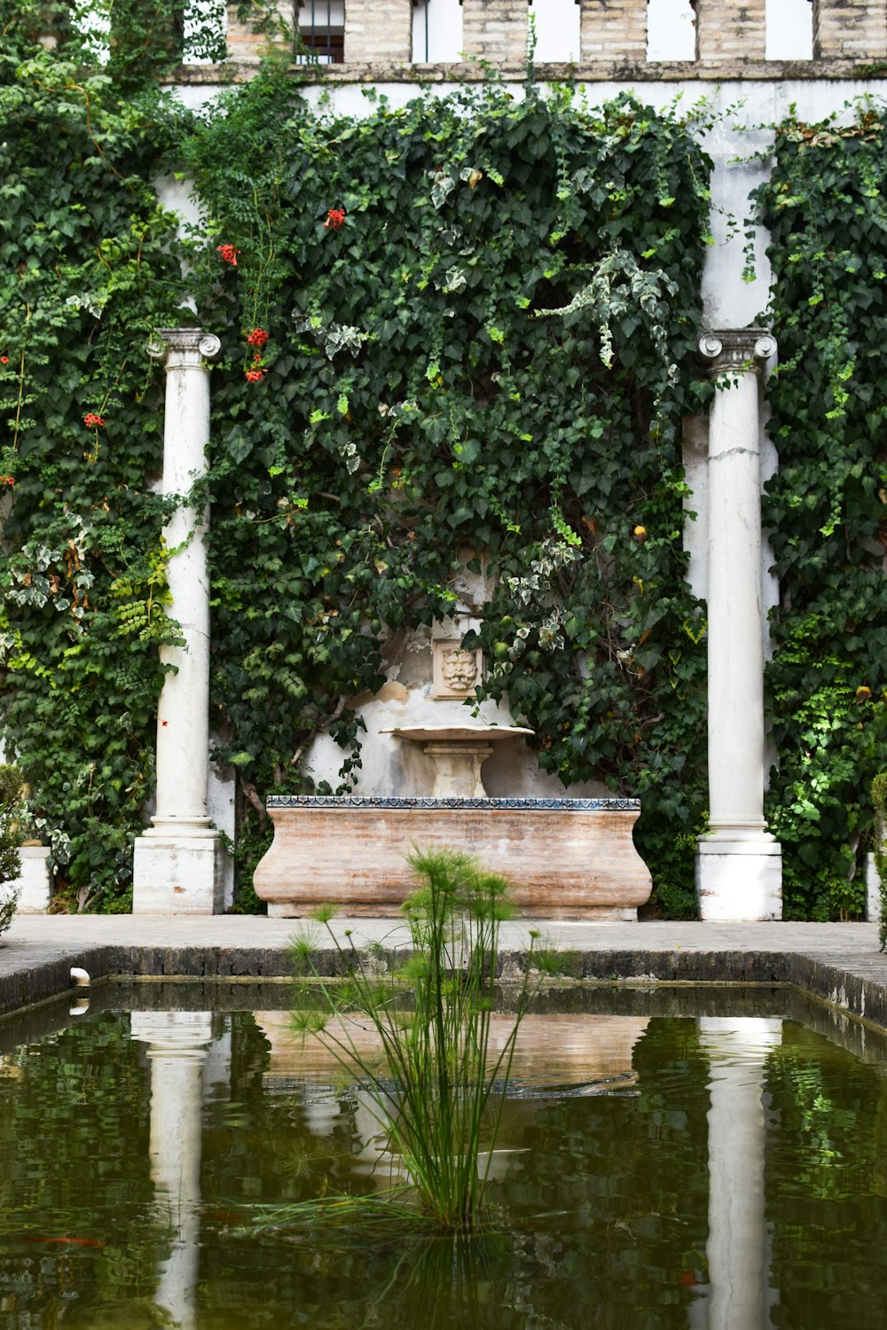 a fountain surrounded by greenery in front of a building