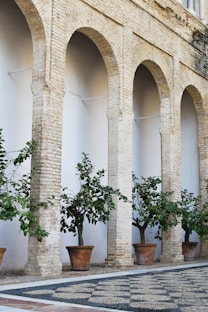 White Stone pillars New Orleans Brick