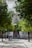 A courtyard lined with lush green trees leads to the entrance of what appears to be a historic or religious building, featuring intricate stone carvings and a decorative facade. Groups of people are gathered around, some taking photographs, suggesting a tourist attraction.