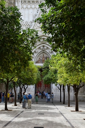 A courtyard lined with lush green trees leads to the entrance of what appears to be a historic or religious building, featuring intricate stone carvings and a decorative facade. Groups of people are gathered around, some taking photographs, suggesting a tourist attraction.