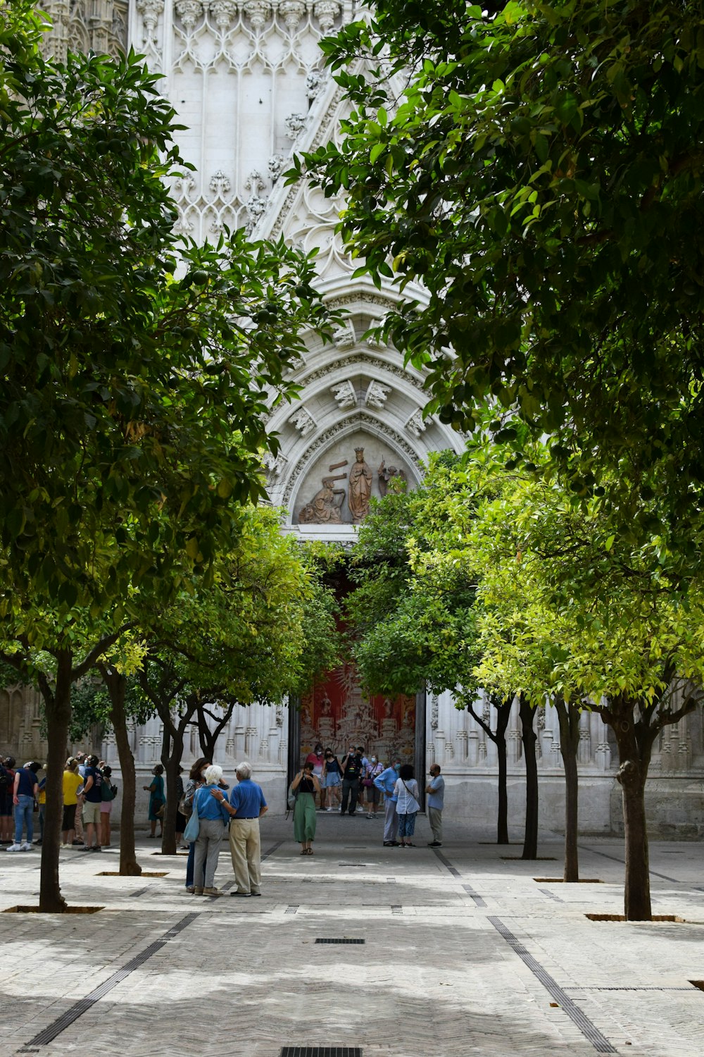 a group of people standing around a tree lined courtyard
