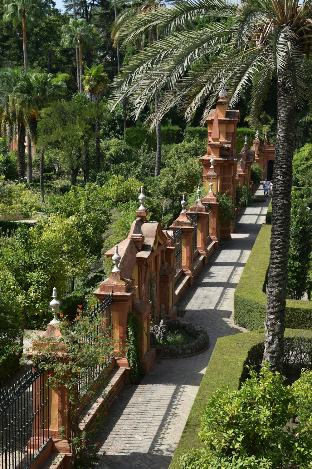 a view of a walkway in a park with palm trees