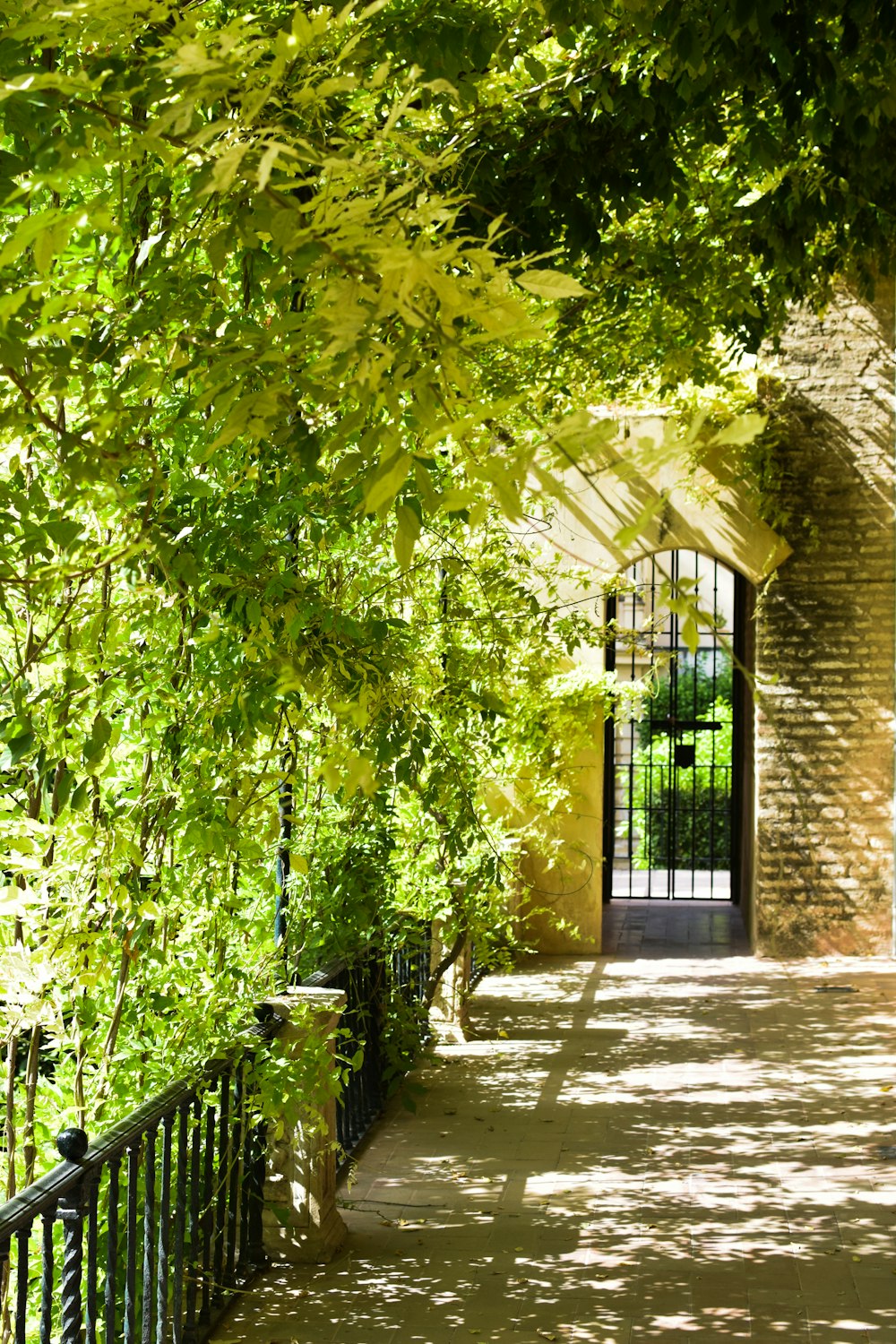 a gated walkway leading to a building with a clock on it