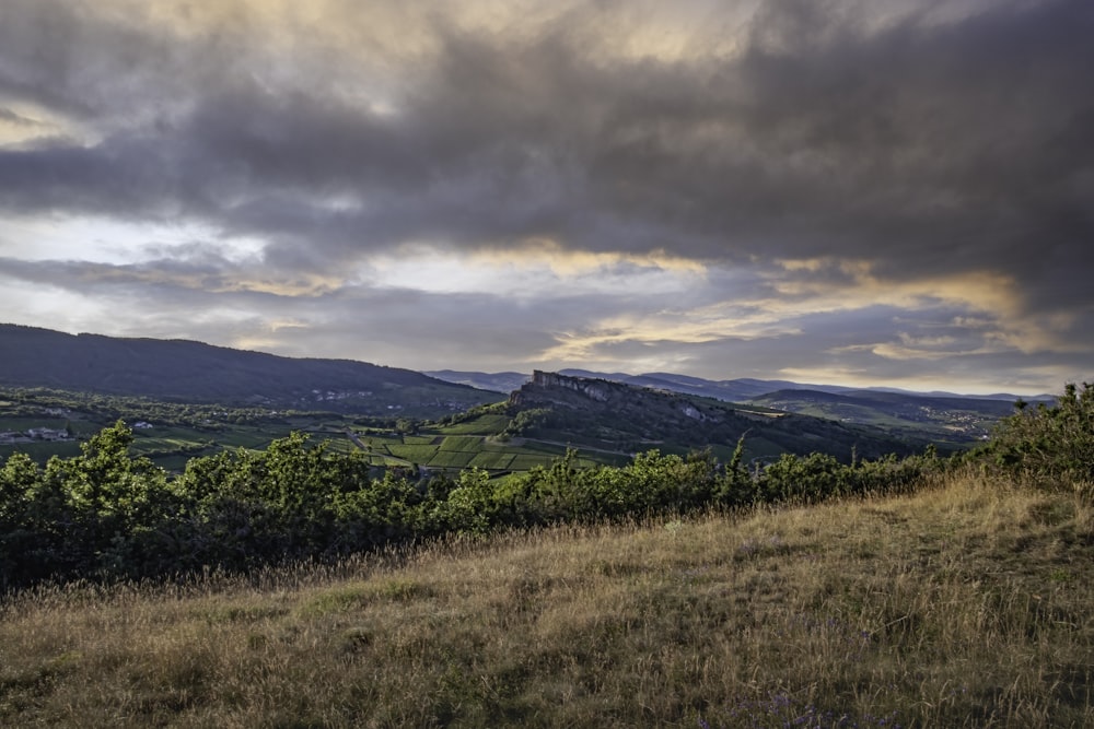 a view of a grassy field with mountains in the background