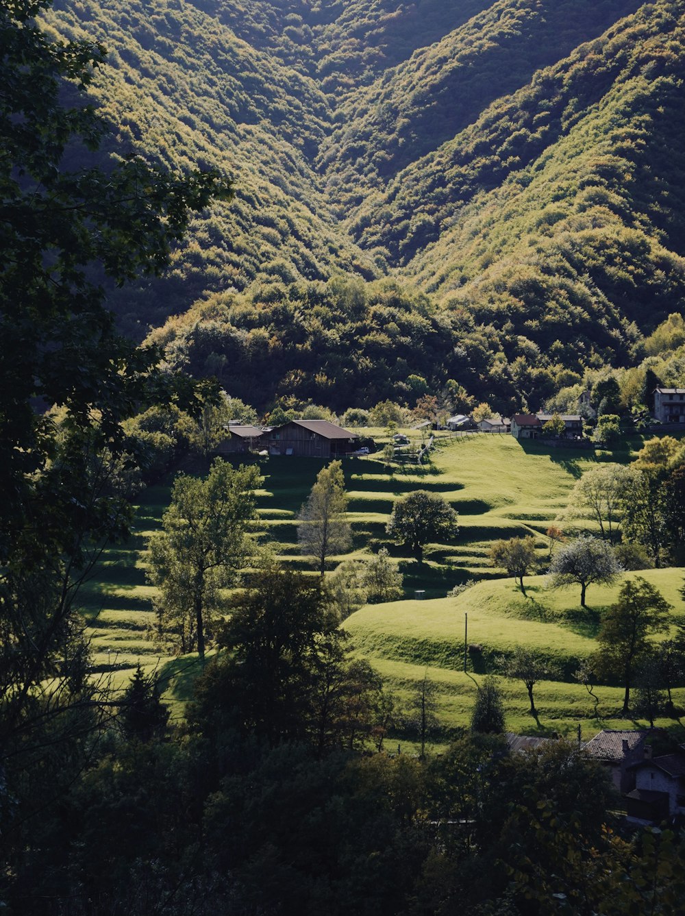 a lush green valley surrounded by mountains