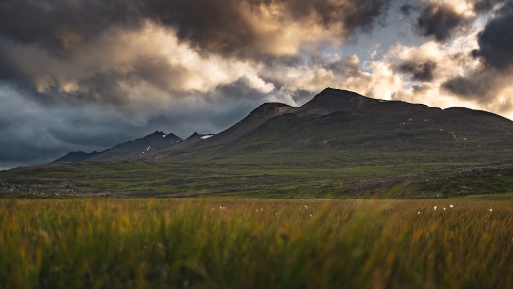 un campo erboso con una montagna sullo sfondo