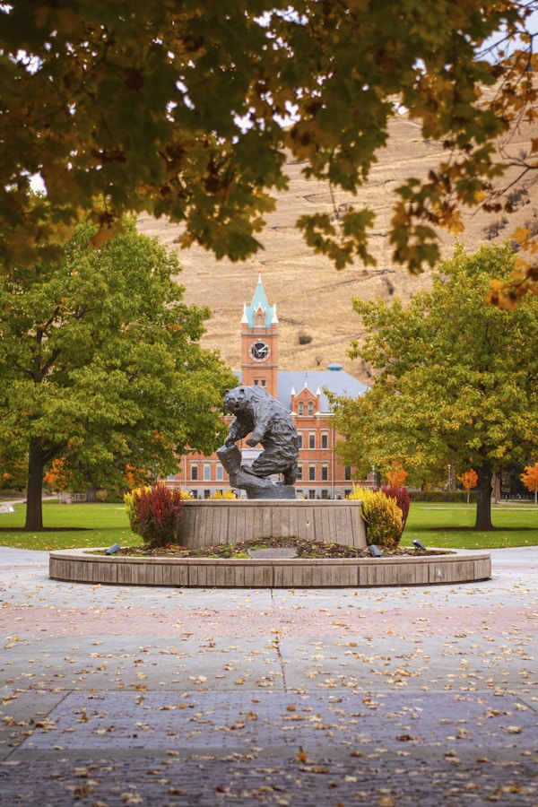 Exploring Missoula: A Complete Travel Guide