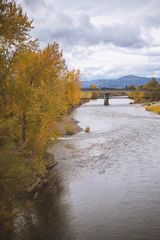 a river with a bridge in the background