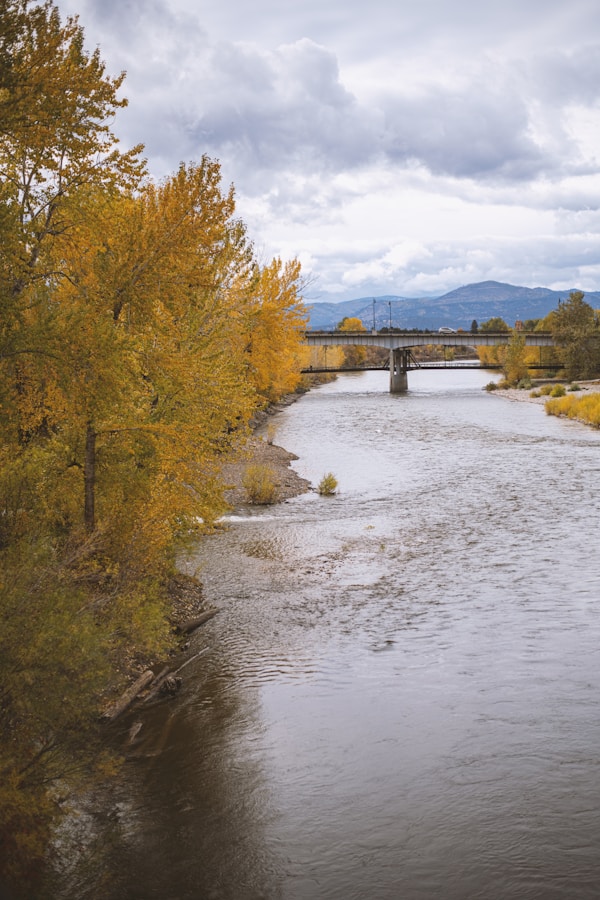 Missoula Local Cuisine: Dishes, Restaurants, Recipes