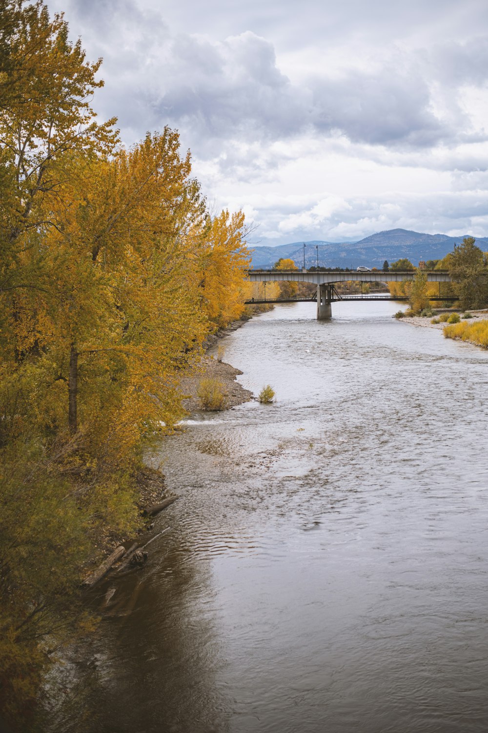 a river with a bridge in the background