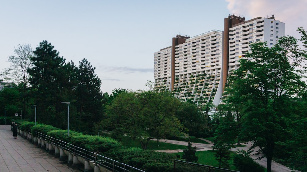 a city park with trees, bushes, and benches