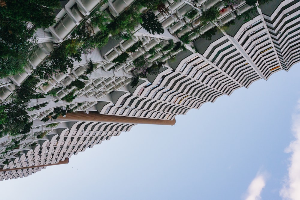 a row of white and black striped umbrellas against a blue sky