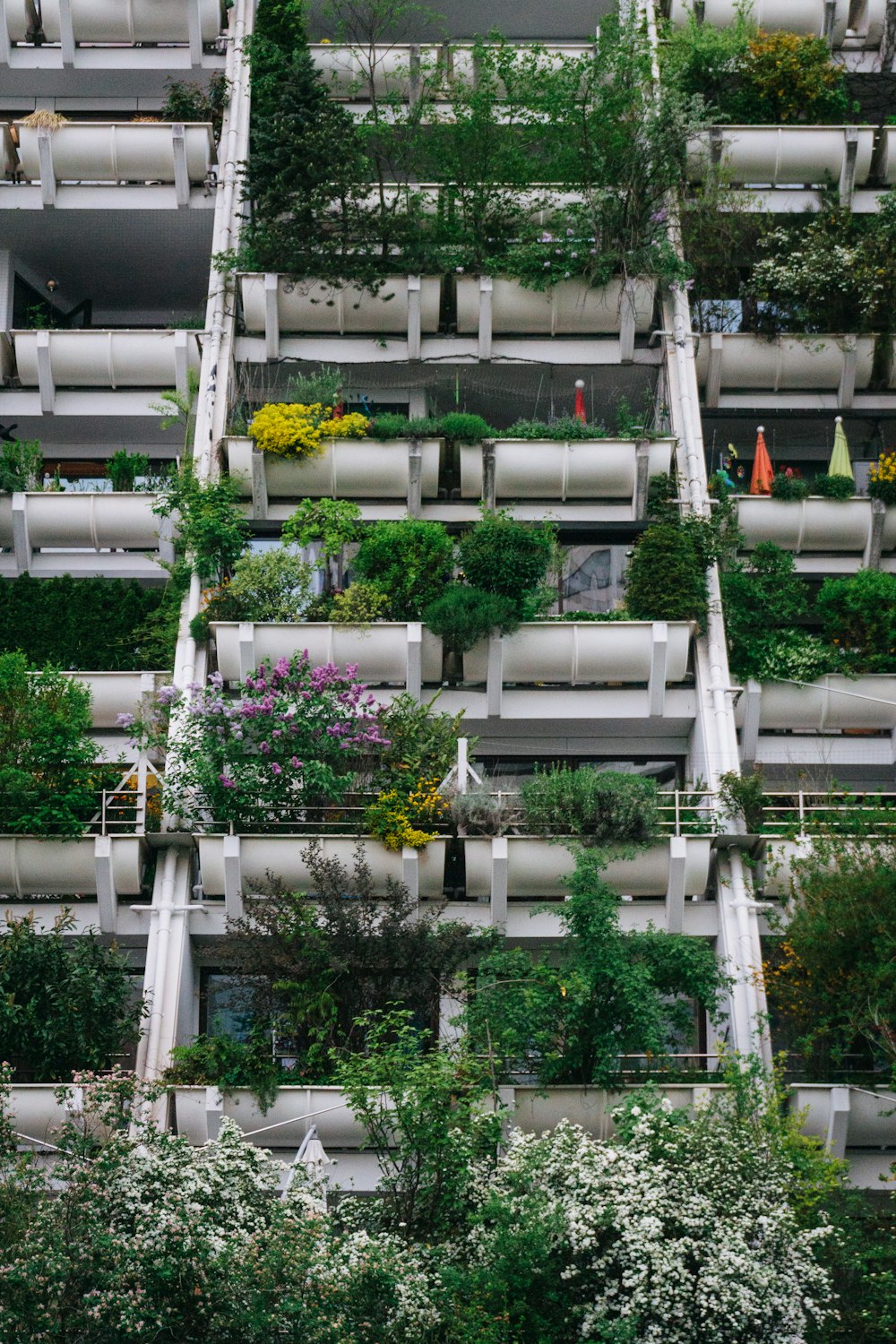 a very tall building with lots of plants growing on it