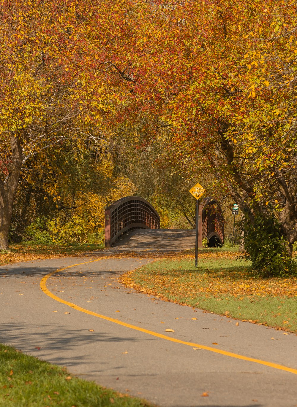 a road with a bridge in the middle surrounded by trees