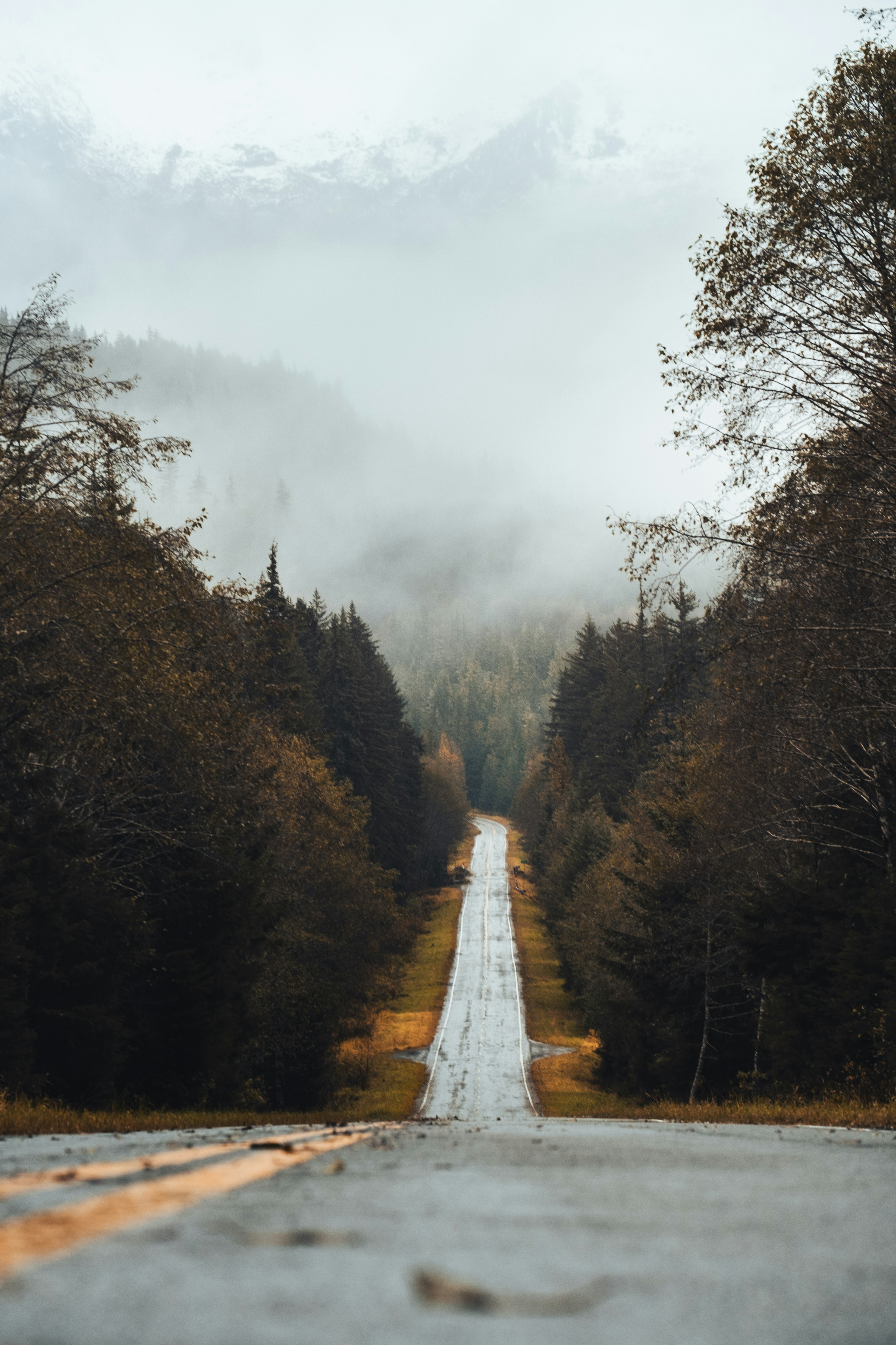 Photo by northernstatemedia