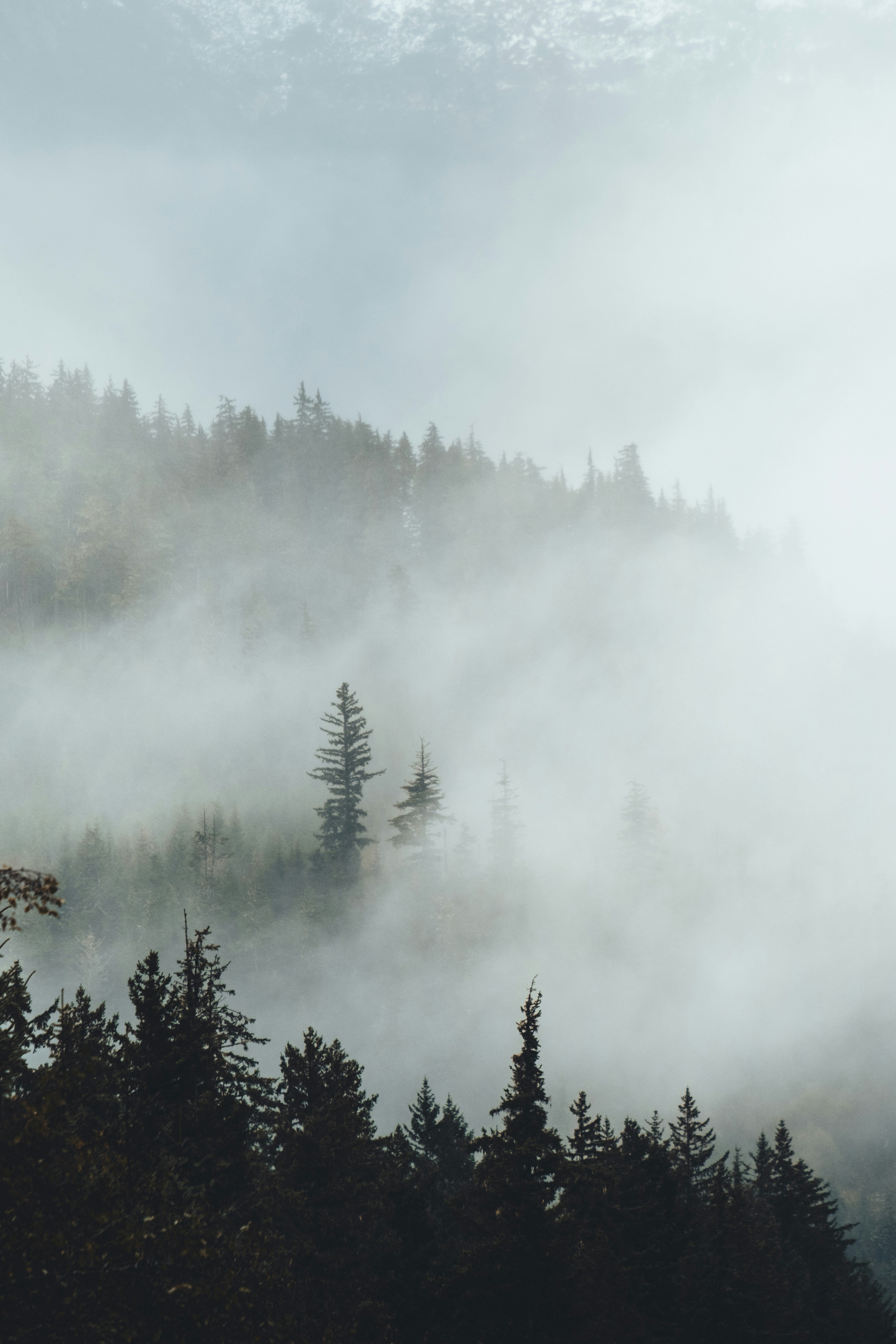 Photo by northernstatemedia