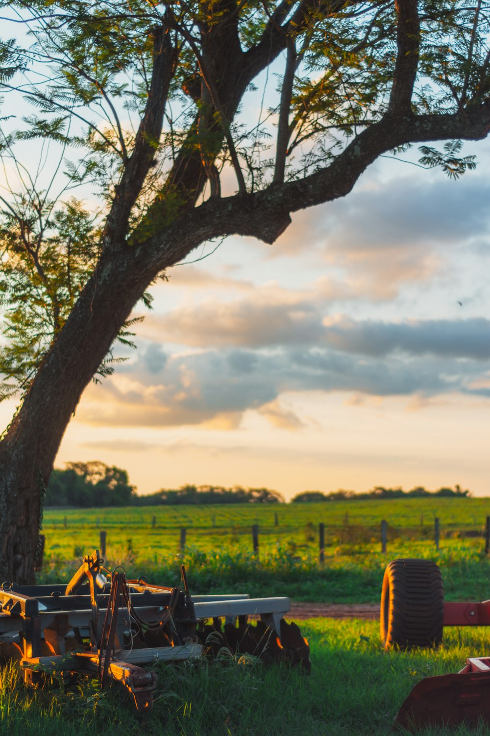 a tractor sitting in the grass next to a tree