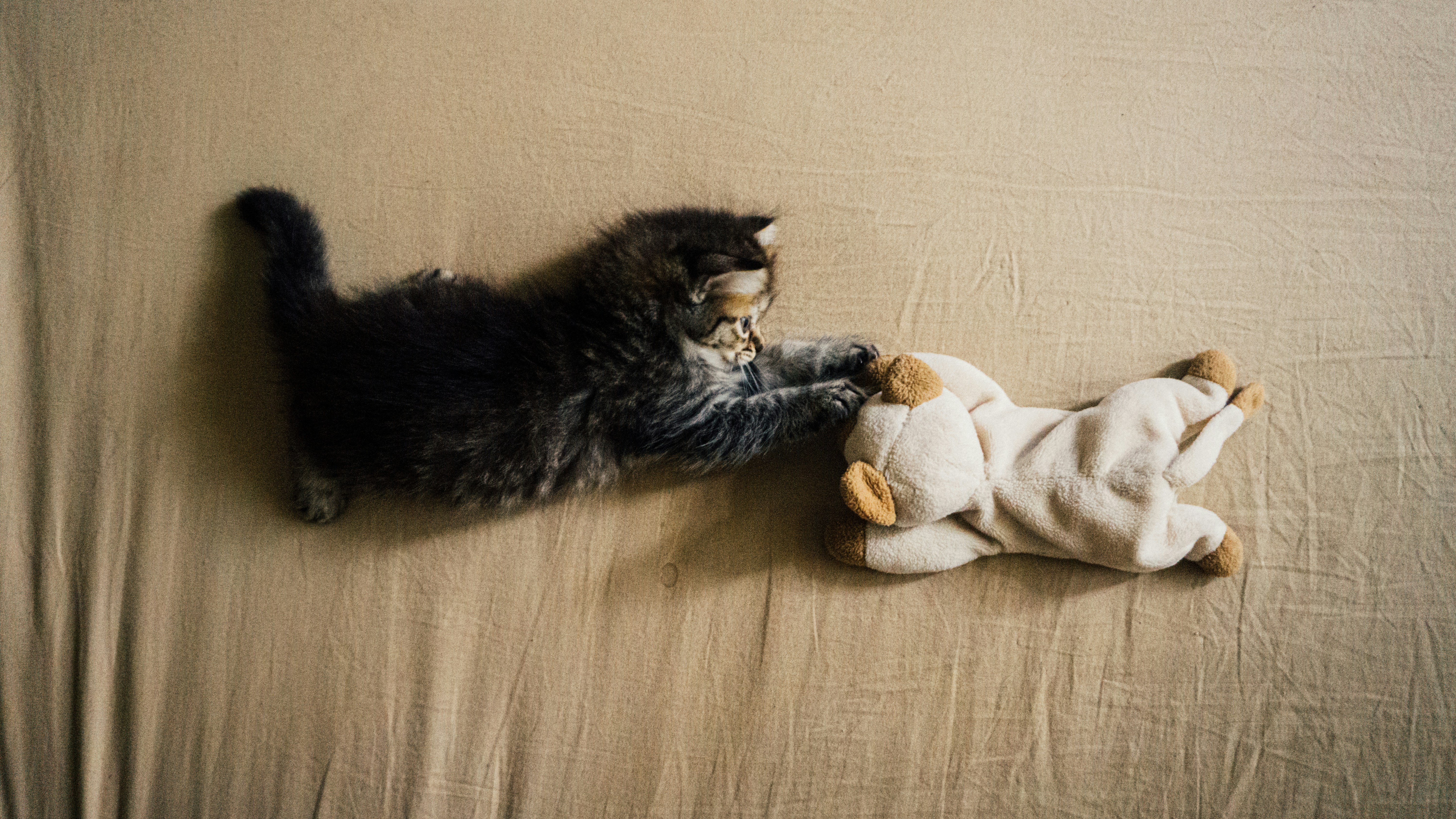 a cat laying on top of a bed next to a stuffed animal