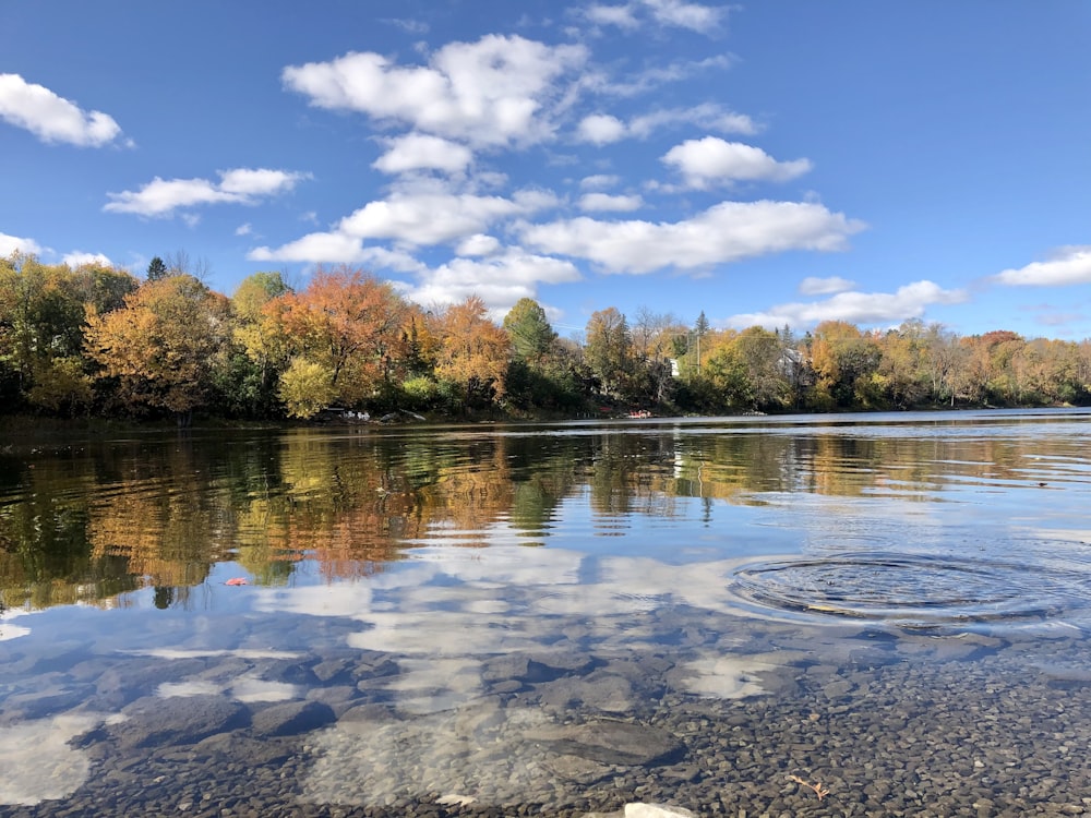 a body of water surrounded by trees and clouds