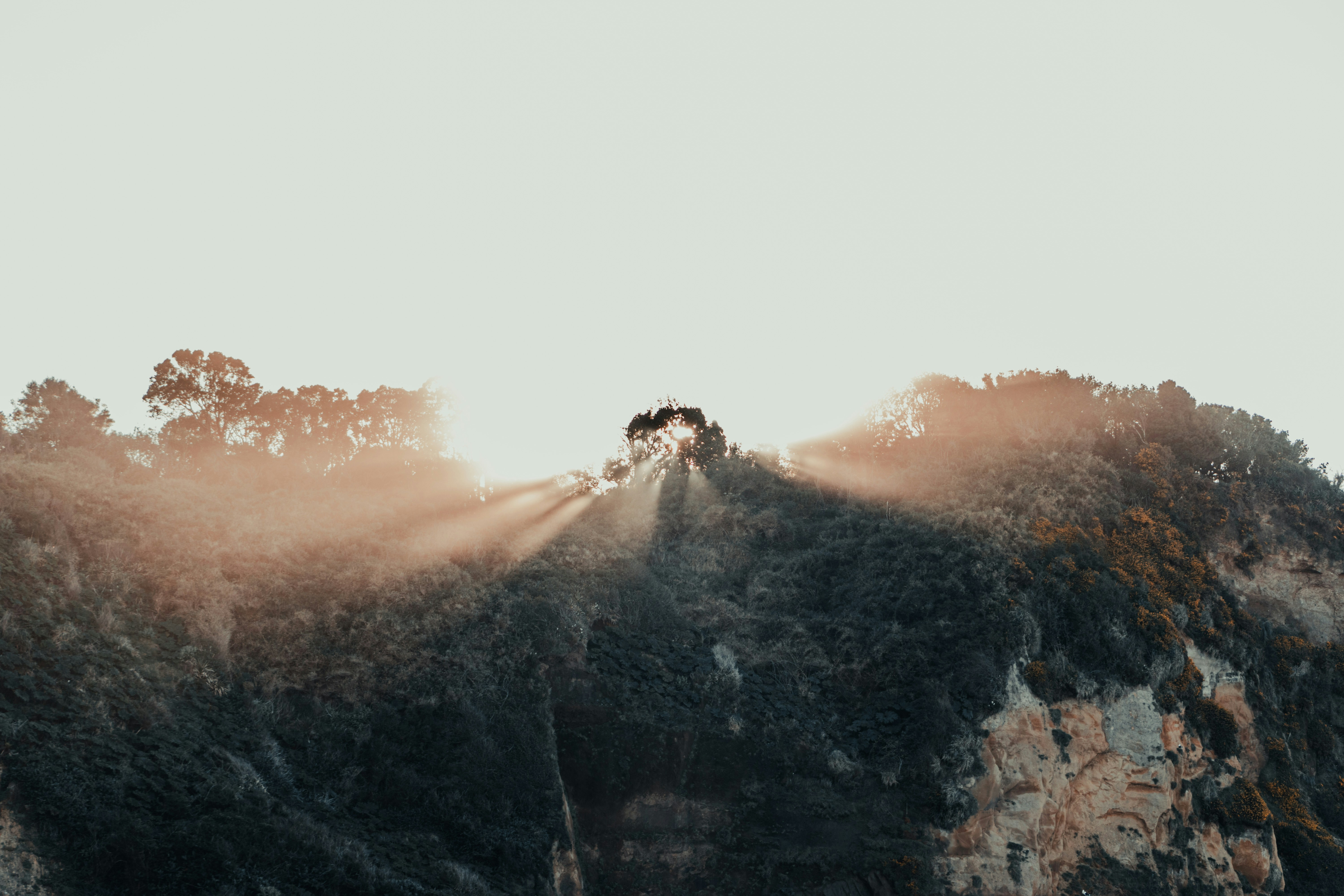 Top Attractions in Urucará You Can't Miss (2026)